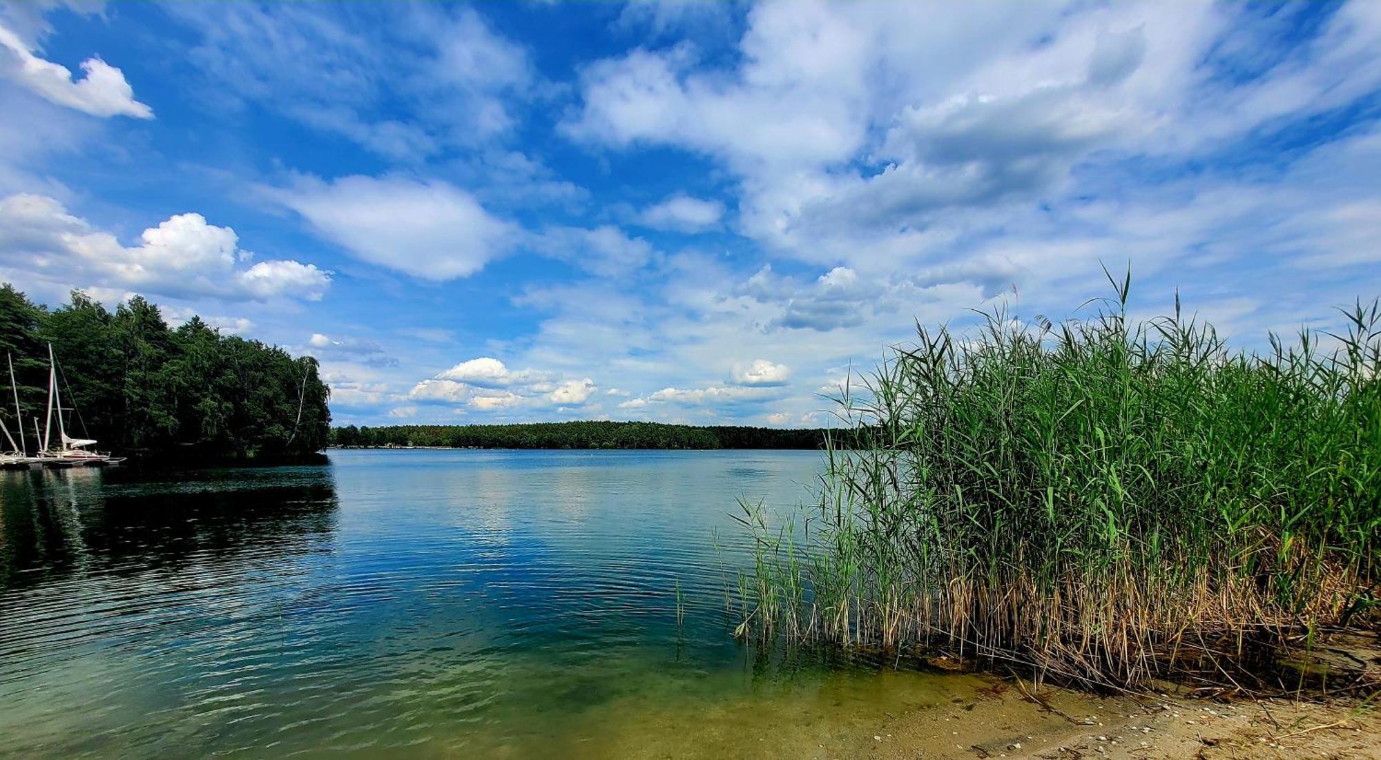 Ferienwohnung Seeglueck Im Oberpfaelzer Seenland Schwandorf Esterno foto